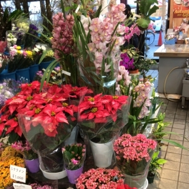 「ミナミフラワーショップ」　（富山県南砺市）の花屋店舗写真3